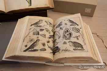 Danneggiata dal sisma, la Biblioteca Universitaria di Pisa punta sulla digitalizzazione - Dire