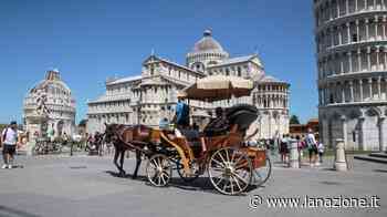 "Pisa abolisca carrozze trainate da cavalli". Incontro tra sindaco e animalisti - LA NAZIONE