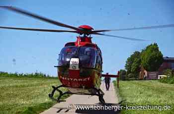 Abgeordneter aus Weil der Stadt - Kampf um Christoph 41 geht weiter - Leonberger Kreiszeitung