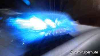 Coesfeld: Regionalbahn kollidiert mit Kühen: Keine Personen verletzt - STERN.de