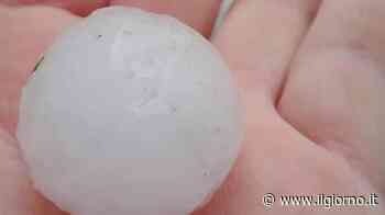 Violente grandinate a Varese: chicchi grossi come noci e strade imbiancate - IL GIORNO