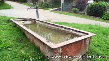 Brunnen in Binsdorf - Wasser wird in Zukunft wertvoller - Schwarzwälder Bote