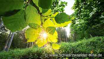 Wetter in Balingen - So warm, sonnig und nass war der Juni 2022 - Schwarzwälder Bote