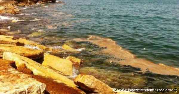 Trani, precipita dalla scogliera del lungomare: 33enne in coma - La Gazzetta del Mezzogiorno