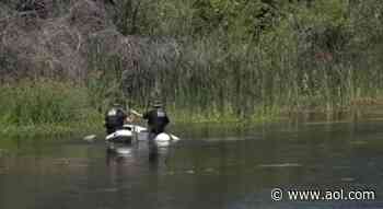 Two 18-year-olds in truck crash at California creek, cops say. Only one resurfaces - AOL