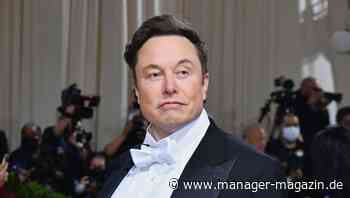 Elon Musk bricht Twitter-Übernahme ab