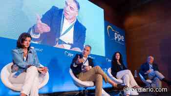 Bendodo: «La ley de Memoria Democrática es la traición de Sánchez al legado de Felipe González» - Okdiario