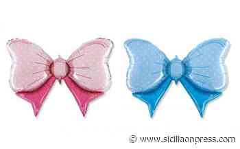 Doppio nastro, azzurro e rosa, a casa di Tito "regolatore onorario" del traffico automobilistico - Sicilia ON Press