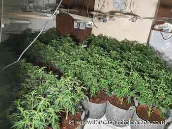 Police discover 470 cannabis plants inside Darwen pub