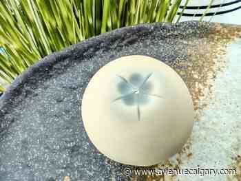 Worth the Drive: Wagashi at Wagashi Tea House in Canmore - Avenue Calgary