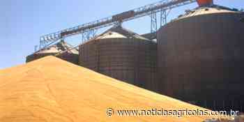 Canarana/MT colheu 45% da safrinha e já esbarra em gargalo logístico com muito milho à céu aberto - Notícias Agrícolas