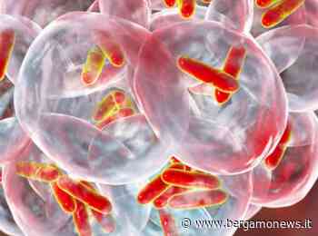 Legionella, è allarme in Val Seriana: 13 casi da Gazzaniga a Clusone - BergamoNews.it