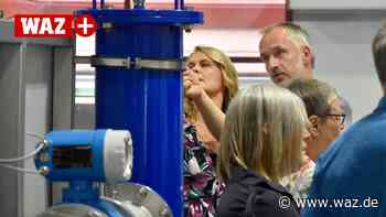 Das sind die besten Bilder von der WAZ-Pforte in Witten - WAZ News