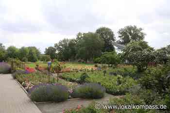 Schönes NRW: "Rosengarten" Seppenrade - Witten - www.lokalkompass.de