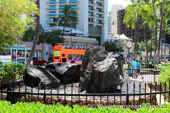 Hawaii museum revisits history of gender-fluid healers - Virden Empire Advance