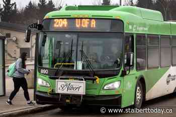 Head of St. Albert transit union calls for increased safety measures - St. Albert TODAY