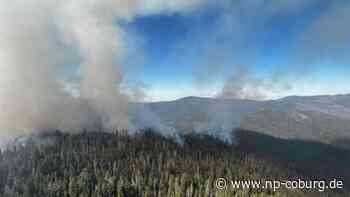 USA - Waldbrand wütet im kalifornischen Yosemite-Park - Neue Presse Coburg