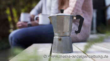 Kaffeesatz als Dünger: Vorsicht, Lavendel mag ihn gar nicht