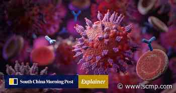 Should Hong Kong be concerned about global rise in Omicron subvariants? - South China Morning Post