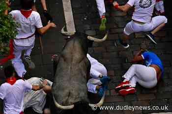Two gored in third bull run of San Fermin Festival - Dudley News