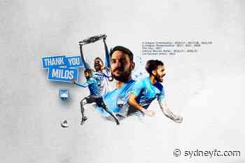 Milos Ninkovic Decides To Leave Sydney FC - Sydney FC