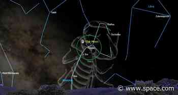 Catch the moon shining next to the blood-red star Antares on Sunday