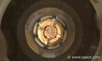 NASA's Perseverance Mars rover collects 9th Red Planet rock sample
