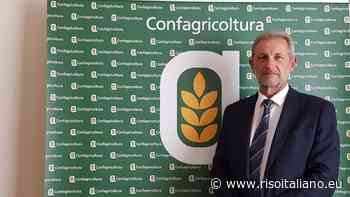 I 120 anni di Confagricoltura Biella Vercelli - Risoitaliano.eu