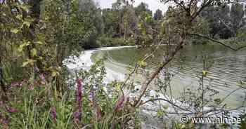 Begeleide wandeling: wat leeft er onder water? | Wachtebeke | hln.be - Het Laatste Nieuws