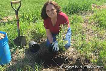 Building Barrie's hopeful green village - Barrie News - BarrieToday