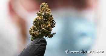 As Mississippi physicians prepare for medical cannabis, many are keeping quiet - Northeast Mississippi Daily Journal