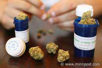 With legalization of THC in Minnesota, what happens to the state's medical marijuana program? - MinnPost