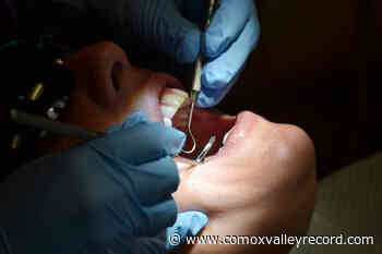 BC dentist suspended, fined for sexual relationship with patient – Comox Valley Record - Comox Valley Record