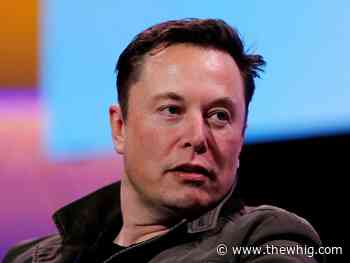Elon Musk plans to 'significantly' increase child-care benefits at his firms - The Kingston Whig-Standard