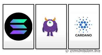 Best Cryptos for Beginners in the Market: Solana (SOL), Cardano (ADA), and Xchange Monster (MXCH) - www.crowdwisdom.live