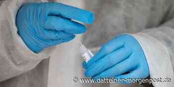Coronavirus in Waltrop: Niedrigste Inzidenz im ganzen Kreis - Dattelner Morgenpost