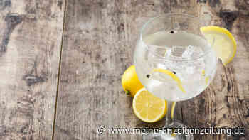 Heuschnupfen mit Gin Tonic bekämpfen: Alkohol wirkt bei Allergie, laut Studie