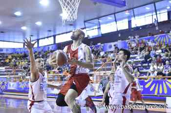 Vigor Matelica, inizia da Pescara la caccia alla Serie B - Serie C Gold - Basketmarche.it