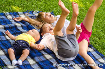 Family Party in the Park (Beaconsfield) - montrealfamilies.ca