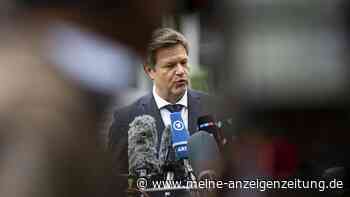 Mögliche Gasknappheit und Ausstieg aus fossilen Energien – Habeck sieht „Zerreißprobe“ kommen