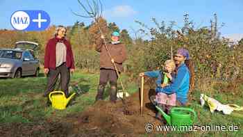 Nabu-Regionalverband Bad Belzig wählt neuen Vorstand - Märkische Allgemeine Zeitung