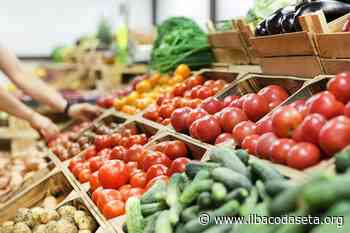 Sona aderisce al Comprensorio Ortofrutticolo Adige-Baldo-Garda: l’obiettivo è sostenere iniziative per l’agricoltura - Il Baco da Seta