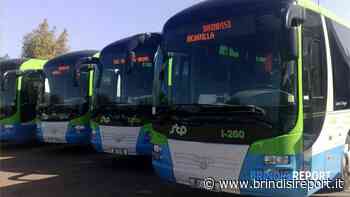 Collegamenti con la litoranea: "Necessario garantire sicurezza" - BrindisiReport