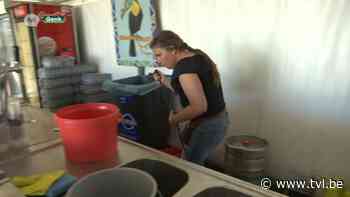 Afro Latino verhuist na 21 edities van Bree naar Thor in Genk - TV Limburg