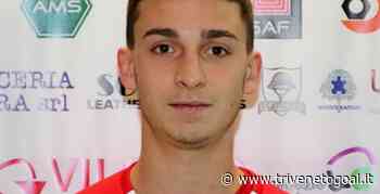 Mercato Virtus Verona, l'attaccante Casarotto lascia il Montecchio Maggiore e approda alla corte di Fresco: gli aggiornamenti - Trivenetogoal