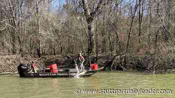 Arkansas invasive carp team getting foothold despite fickle river conditions - Stuttgart Daily Leader