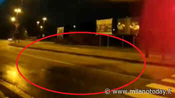 Gli irrigatori che innaffiano l'asfalto - MilanoToday.it