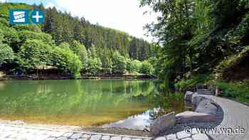 Sohlbacher Weiher Netphen: Verwunschenes Idyll mit Historie - WP News