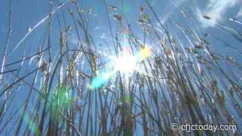 City of Kamloops solicits volunteers to help run cooling centres, should the need arise - CFJC Today Kamloops