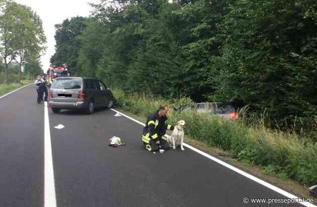 FW-BN: Frontalzusammenstoß zweier PKW - Beide Fahrer und ein Hund verletzt